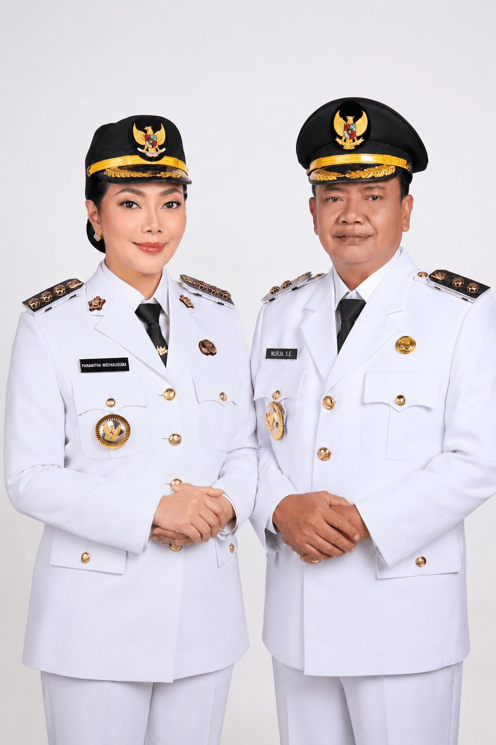 Ilustrasi layanan data Kabupaten Brebes